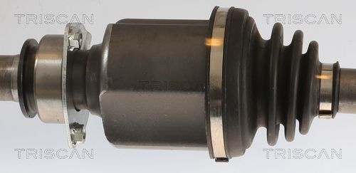 Pusašis TRISCAN 8540 15555