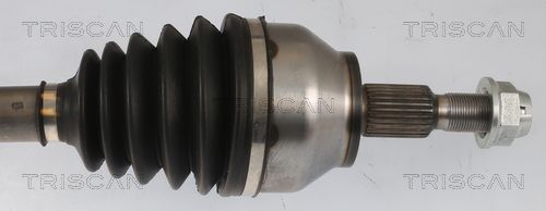 Pusašis TRISCAN 8540 16631