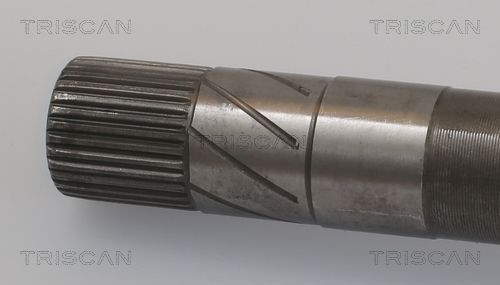 Pusašis TRISCAN 8540 16647