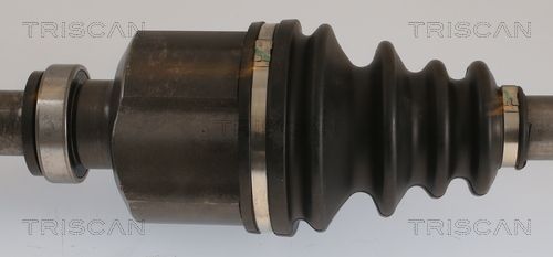 Pusašis TRISCAN 8540 16647