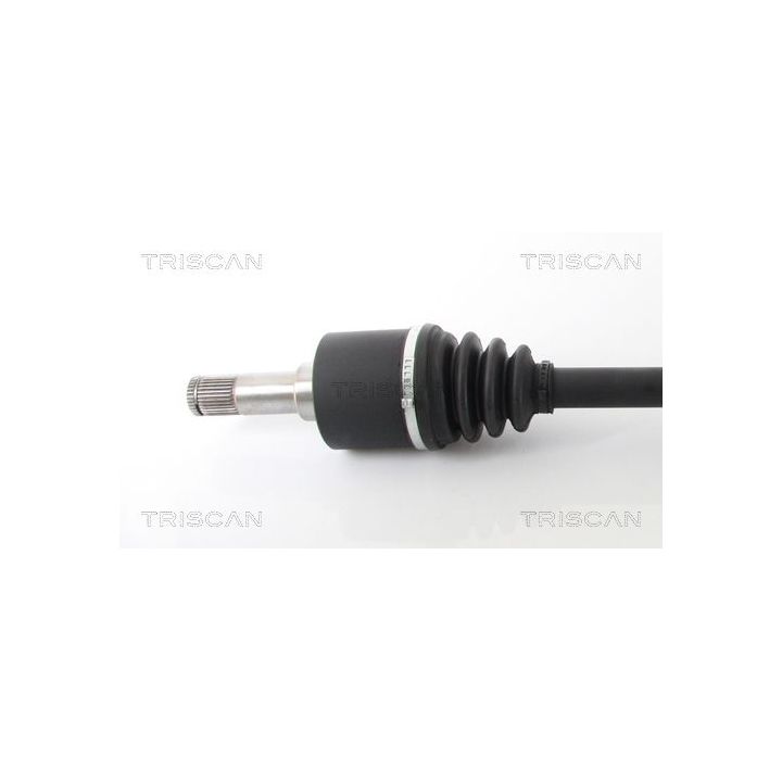 Pusašis TRISCAN 8540 23536