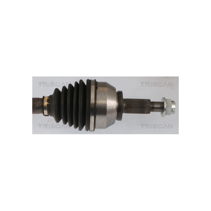 Pusašis TRISCAN 8540 24606