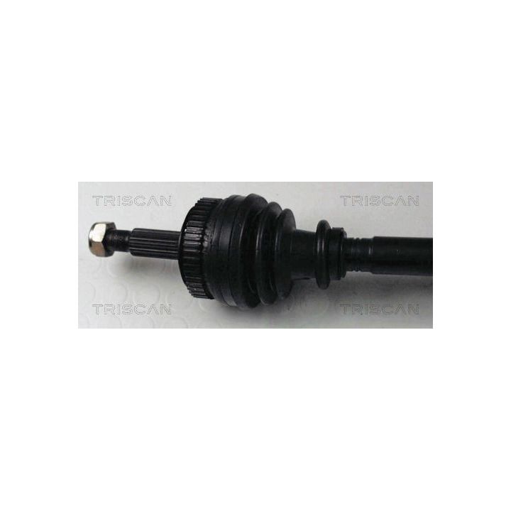 Pusašis TRISCAN 8540 25547