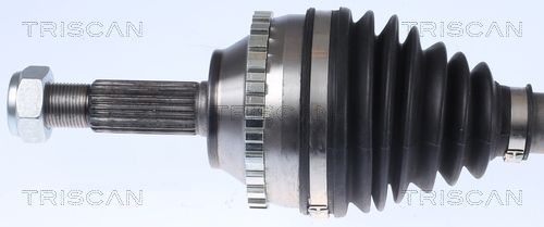 Pusašis TRISCAN 8540 25552