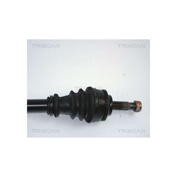 Pusašis TRISCAN 8540 25563