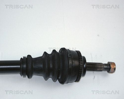 Pusašis TRISCAN 8540 25563