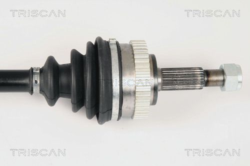 Pusašis TRISCAN 8540 25569