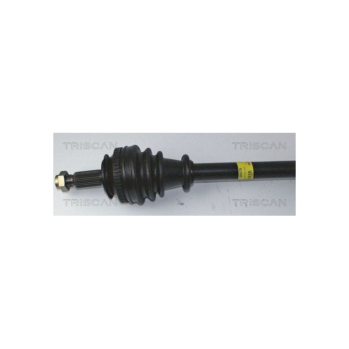 Pusašis TRISCAN 8540 25575