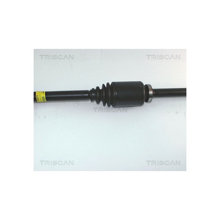 Pusašis TRISCAN 8540 25575