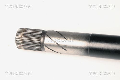 Pusašis TRISCAN 8540 25583