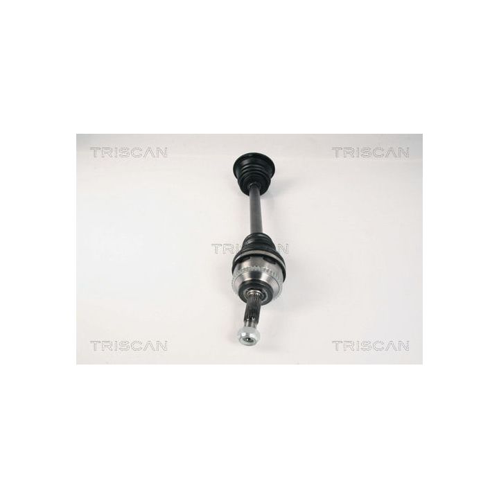 Pusašis TRISCAN 8540 25590