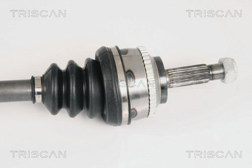 Pusašis TRISCAN 8540 25591