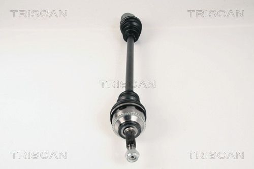 Pusašis TRISCAN 8540 25591