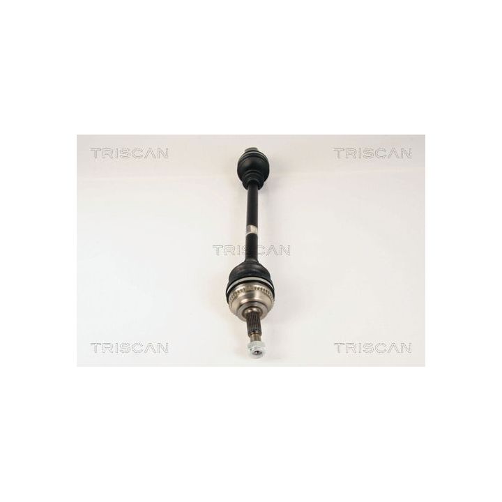 Pusašis TRISCAN 8540 25593