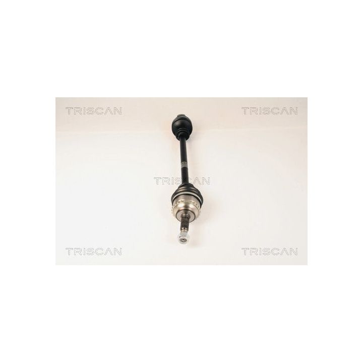 Pusašis TRISCAN 8540 25597