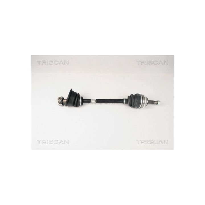 Pusašis TRISCAN 8540 25601