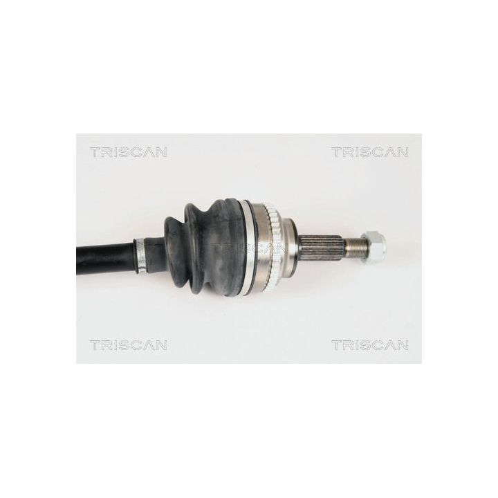 Pusašis TRISCAN 8540 25601