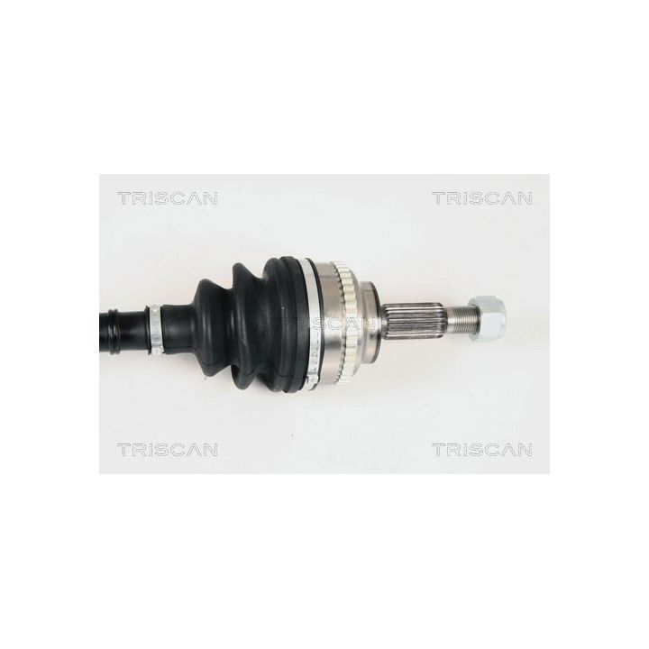 Pusašis TRISCAN 8540 25602