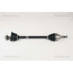 Pusašis TRISCAN 8540 25603