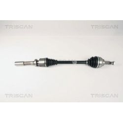 Pusašis TRISCAN 8540 25604