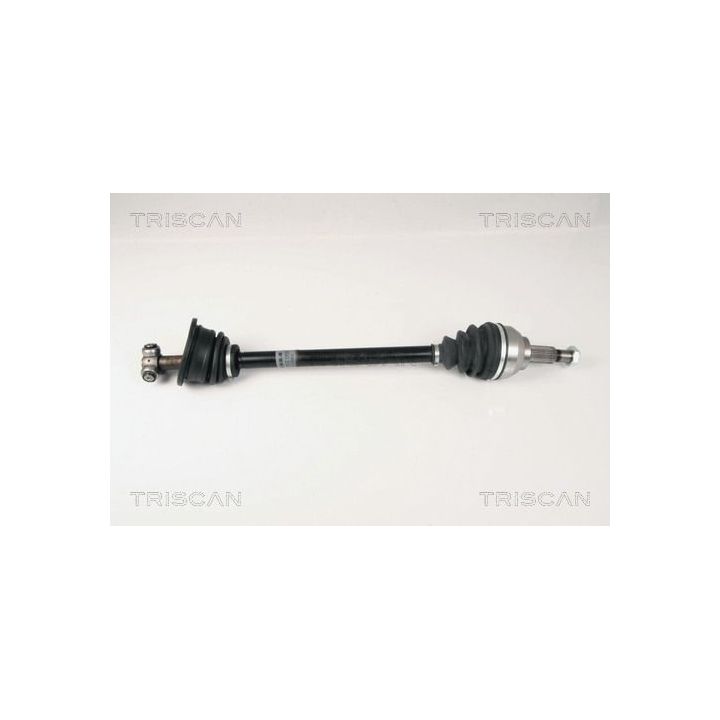 Pusašis TRISCAN 8540 25605