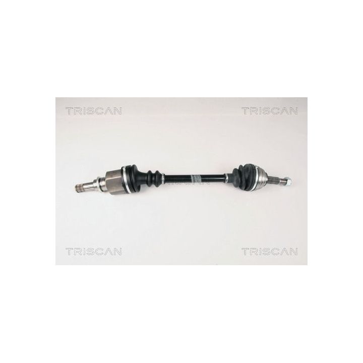 Pusašis TRISCAN 8540 25607