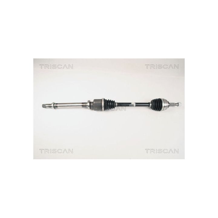 Pusašis TRISCAN 8540 25608