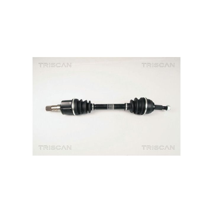 Pusašis TRISCAN 8540 25609