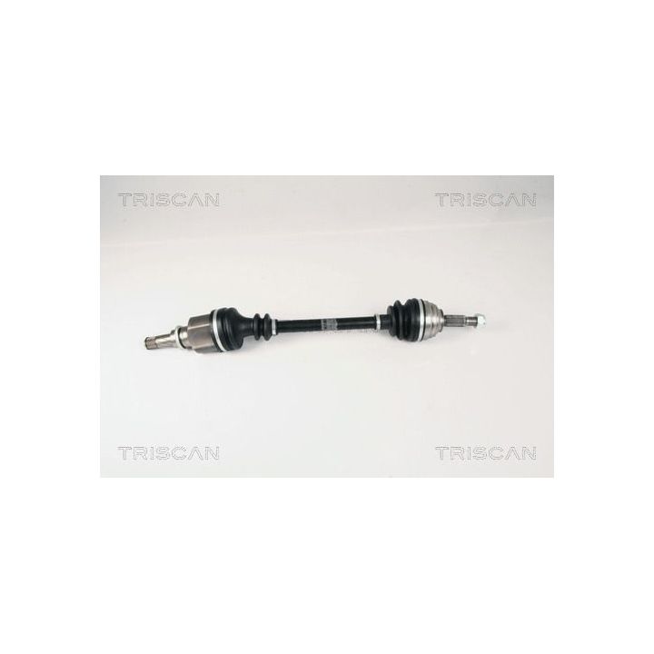 Pusašis TRISCAN 8540 25611