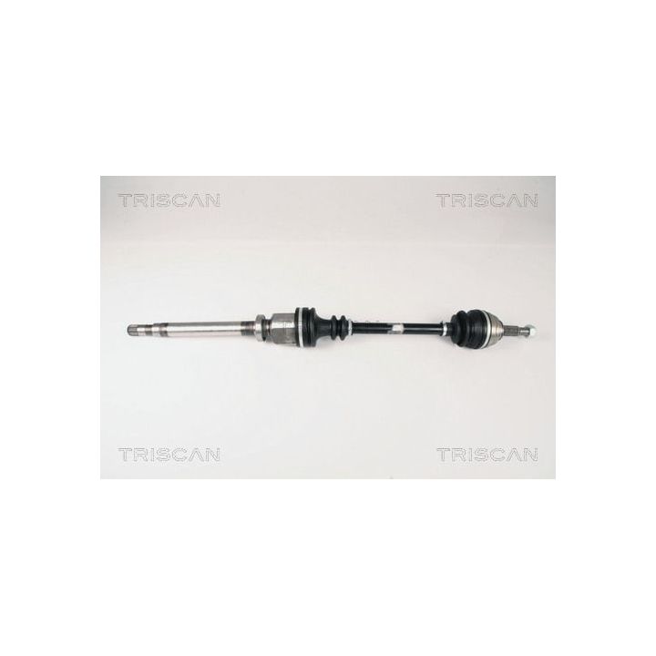 Pusašis TRISCAN 8540 25612