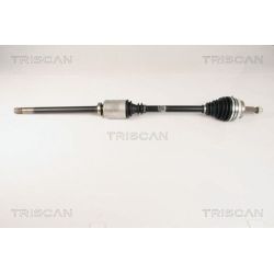 Pusašis TRISCAN 8540 25619