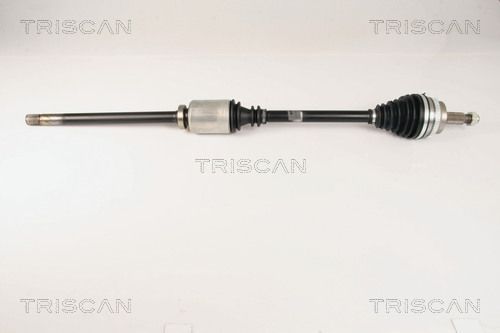 Pusašis TRISCAN 8540 25619