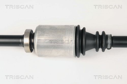 Pusašis TRISCAN 8540 25619