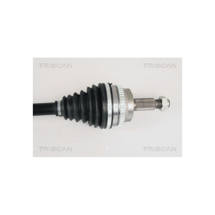 Pusašis TRISCAN 8540 25619