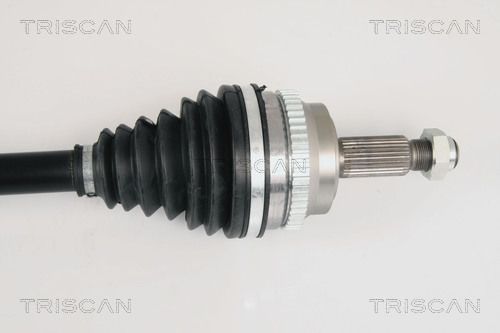 Pusašis TRISCAN 8540 25619