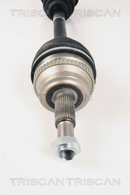 Pusašis TRISCAN 8540 25620