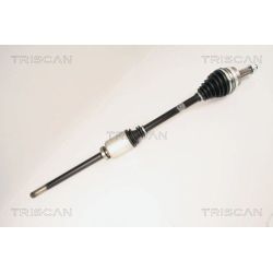 Pusašis TRISCAN 8540 25621