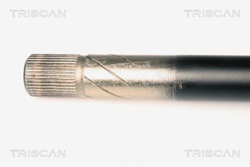 Pusašis TRISCAN 8540 25621