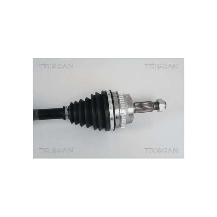 Pusašis TRISCAN 8540 25623