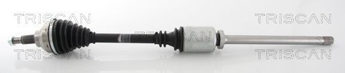 Pusašis TRISCAN 8540 25625