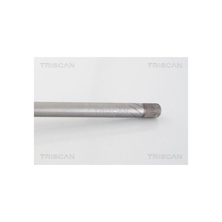 Pusašis TRISCAN 8540 25625