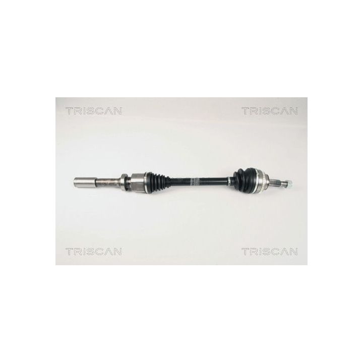 Pusašis TRISCAN 8540 25626