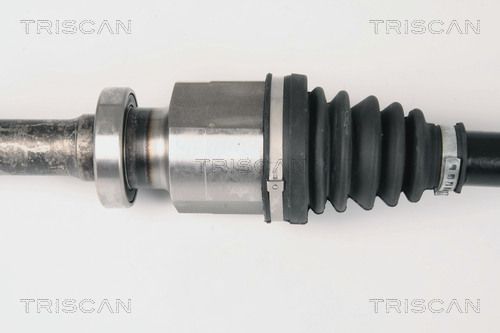 Pusašis TRISCAN 8540 25626