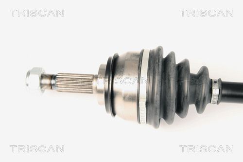 Pusašis TRISCAN 8540 25629