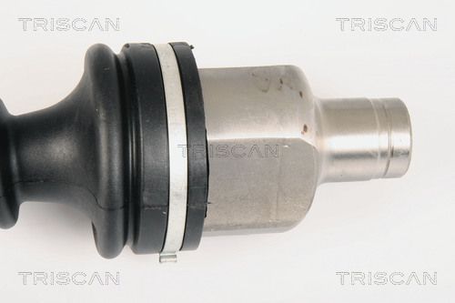 Pusašis TRISCAN 8540 25631