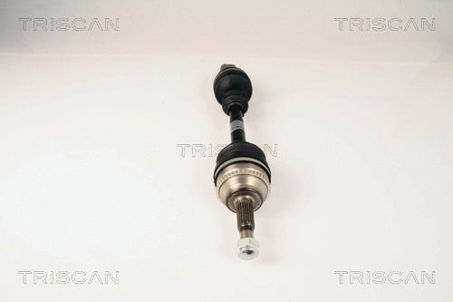 Pusašis TRISCAN 8540 25632