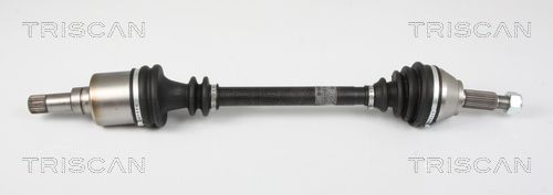 Pusašis TRISCAN 8540 25636