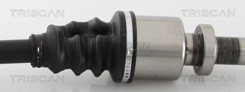 Pusašis TRISCAN 8540 25637
