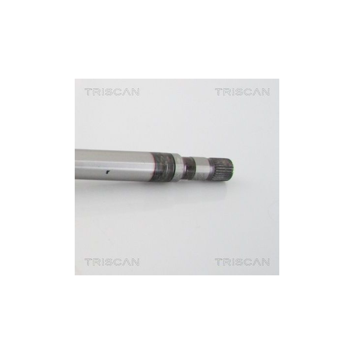 Pusašis TRISCAN 8540 25637