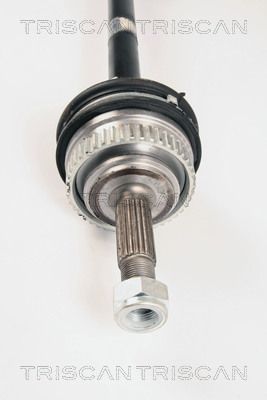 Pusašis TRISCAN 8540 25639